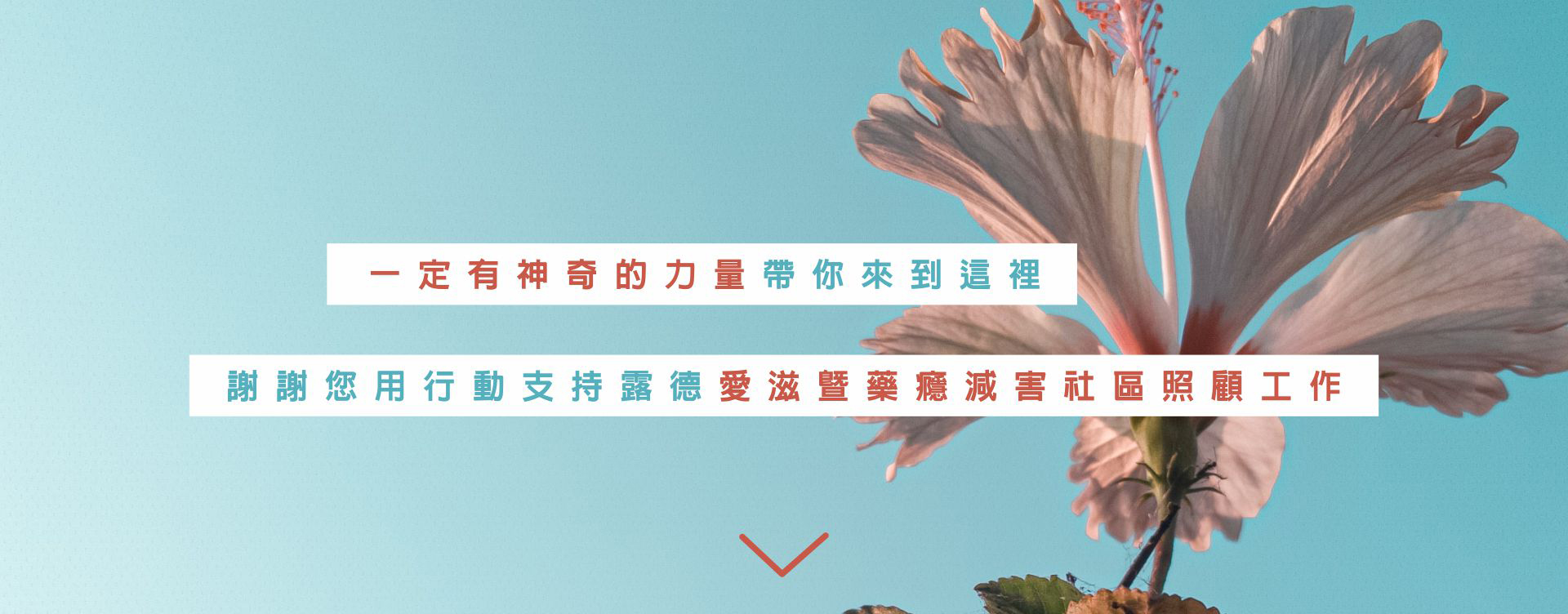 神奇的力量